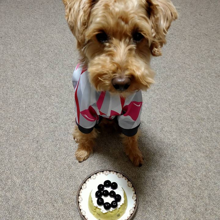 Efd4e36d 6c9b 42f3 ba87 3b37423772b0 1591532363148