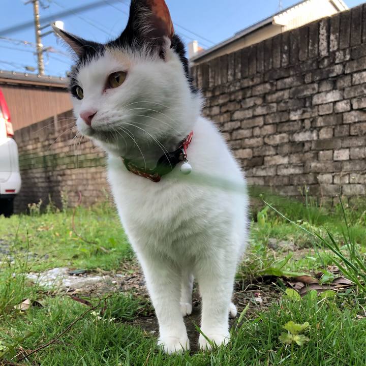 Efd50160 90ad 4037 8cc3 59daba8bf947 1622156189312