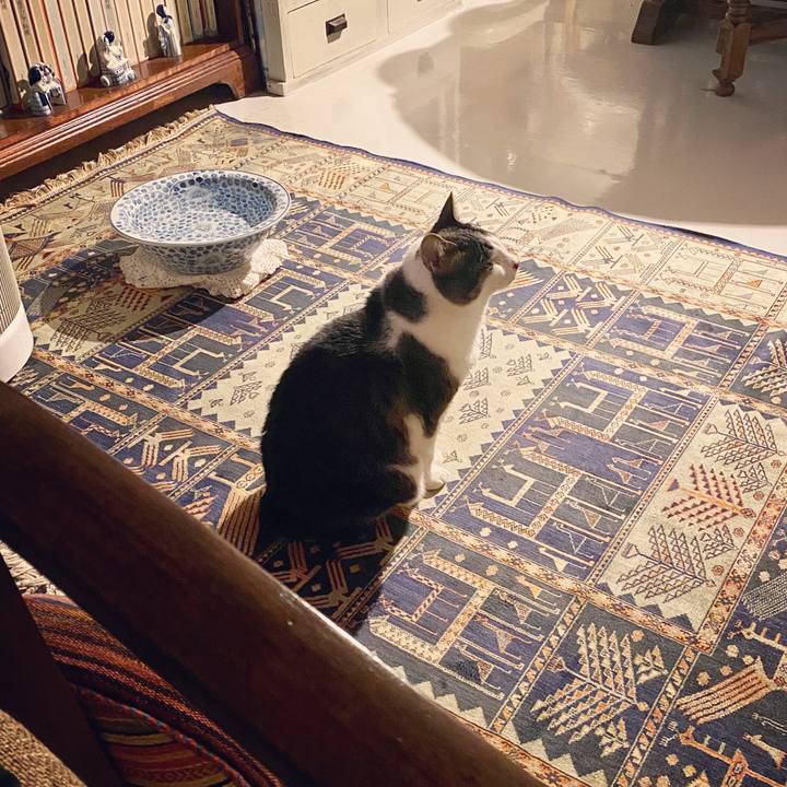 Efd5041e 63bc 42ac 9ca0 ed713159f362 1587992741444