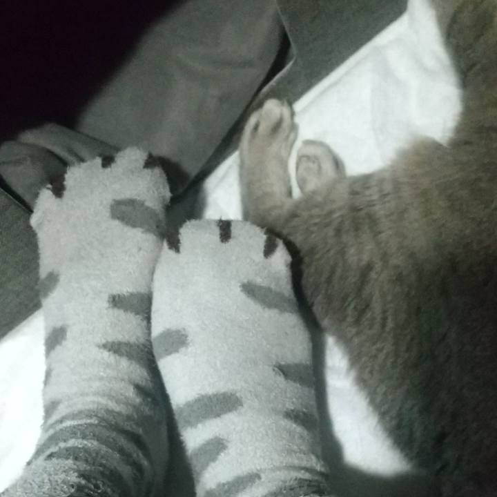 Efd5c060 f5dc 4e37 a374 532a42b5ee09 1672480223287