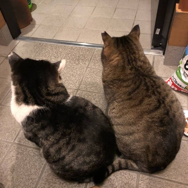 Efd5d1ce dfe7 429b 9843 713ba6cfd455 1517056690056