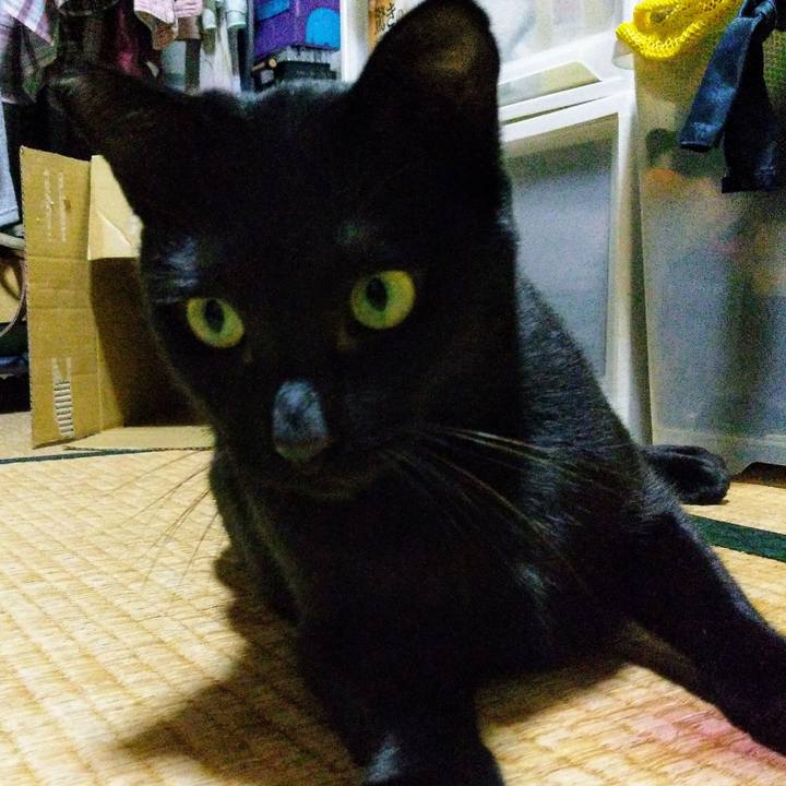 Efd5e634 0007 43f6 ad10 734570f05af1 1584741382488