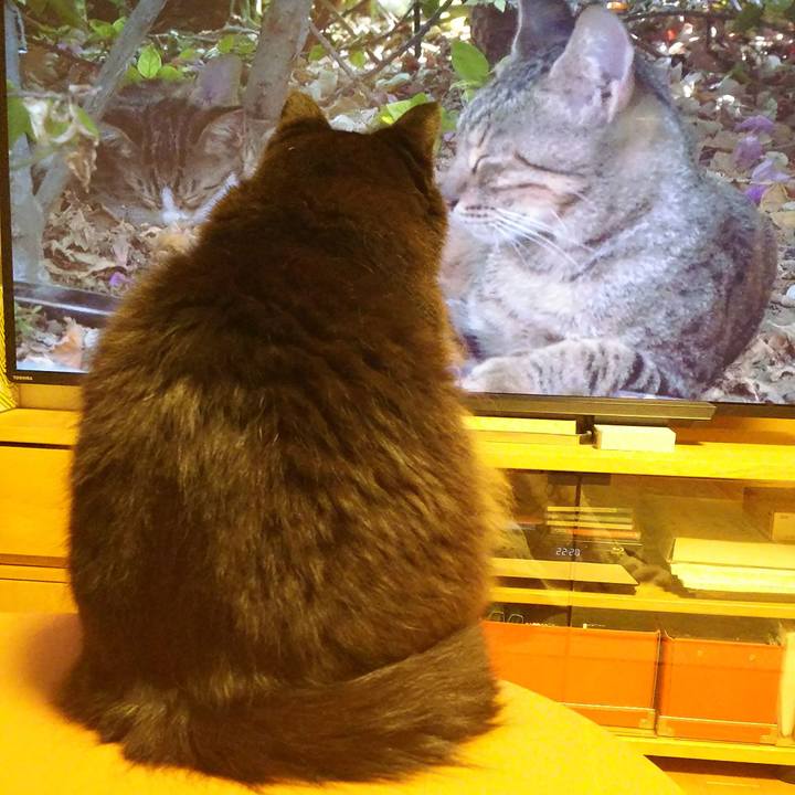 Efd5f181 23b8 411a a8d7 e5d68b4a1f34 1512134534210