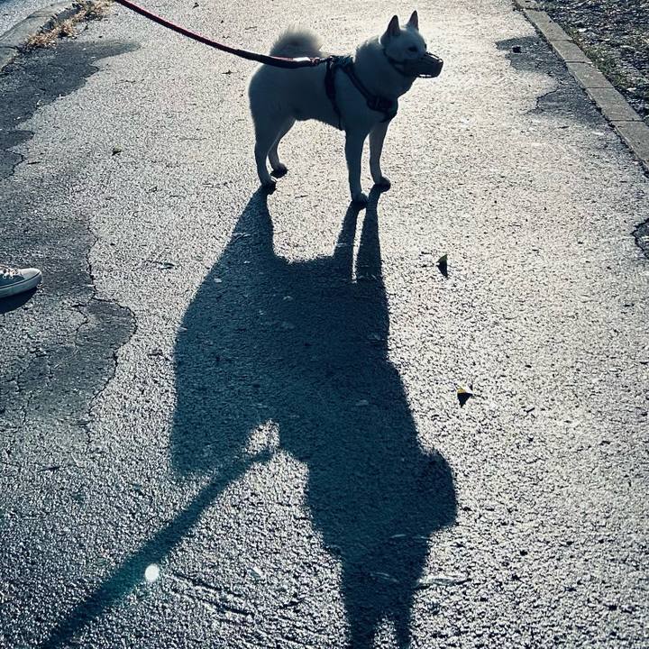 Efd5f686 f694 4c7b 9383 015b92d0de79 1696719674045