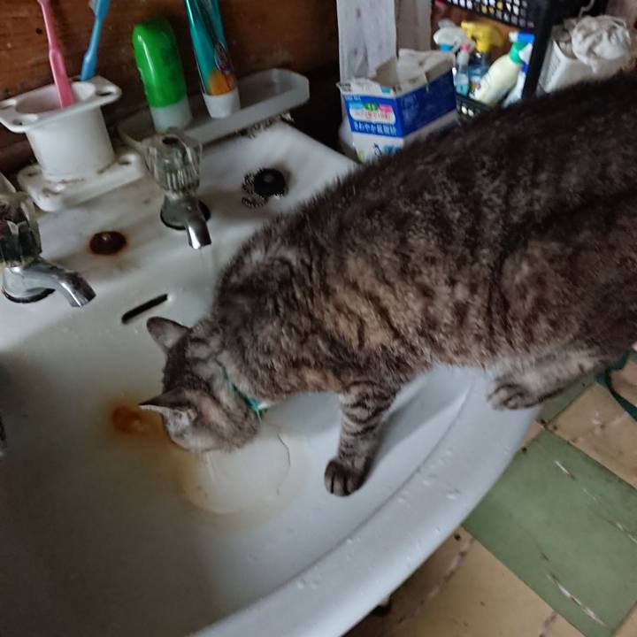 Efd6237b b4c6 4974 bfb3 601309b930e3 1570156196921