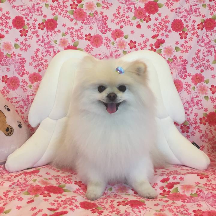 Efd62fd3 3467 4797 ae8c 3519eb210bcf 1617603548089