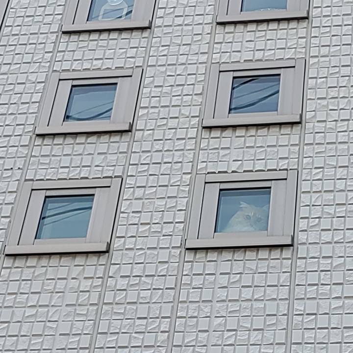 Efd634ea 64a5 4752 ab47 6a3618a90a03 1681876374946