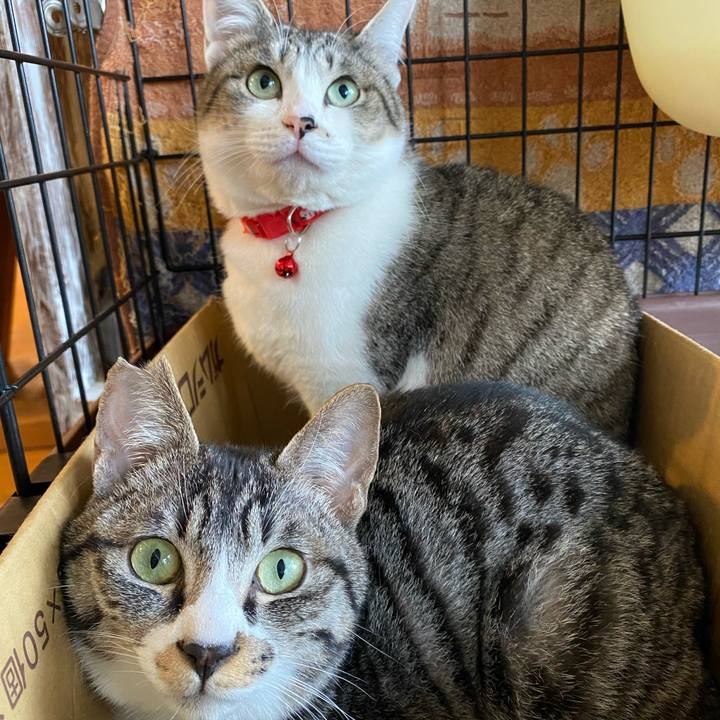 Efd66921 1edd 47f8 9300 ffc2703b2a81 1711244674302