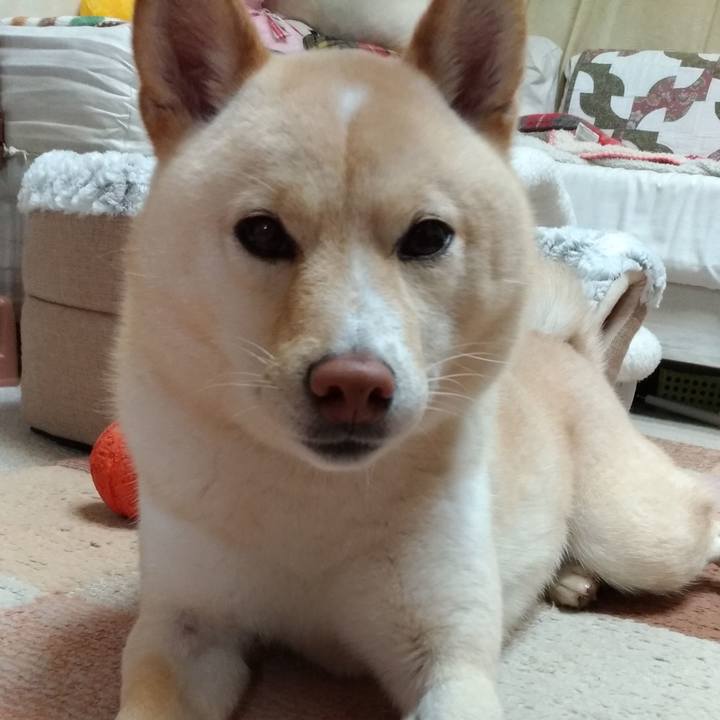 Efd6917c d197 495f 9c6c 4c31940c3495 1581935605158