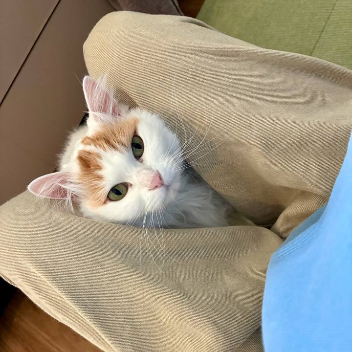 Efd6ab98 2b45 4e54 906b d4af0100dc12 1767063219839