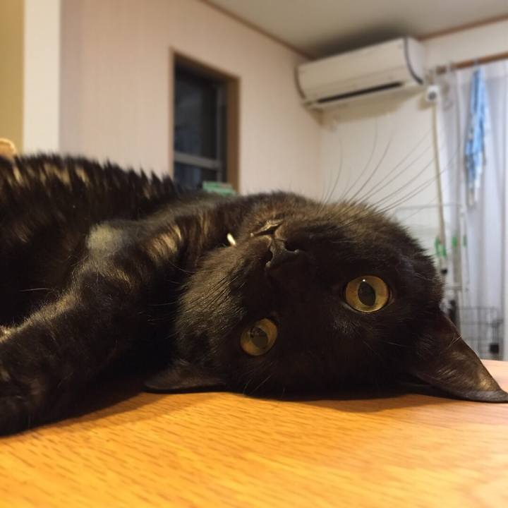 Efd6b2df 06f3 4ad8 93f8 e8ea15651677 1534501717224