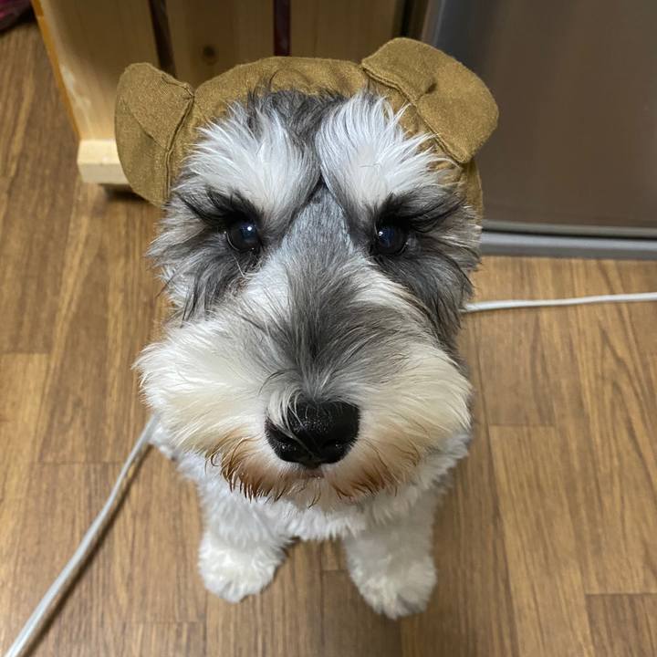 Efd6c3f5 149f 4ab8 98fe 8637a8f48530 1573137541854