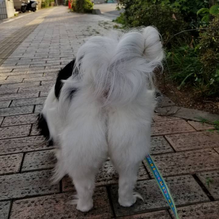 Efd6e5a0 d00c 43a5 abba fbc7eb23da1d 1529837609264