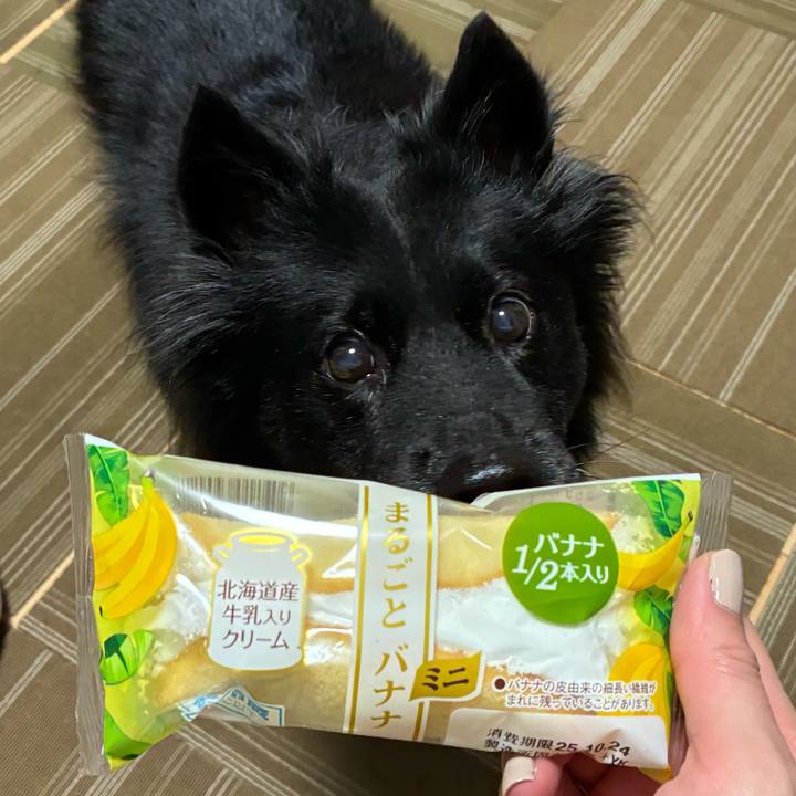 Efd717ae 2111 4dbf 991e 498da083cb12 1761177556811