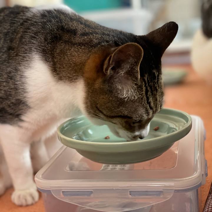 Efd71acb e3f9 4fcf ae8d d86beb96d70b 1621736570235