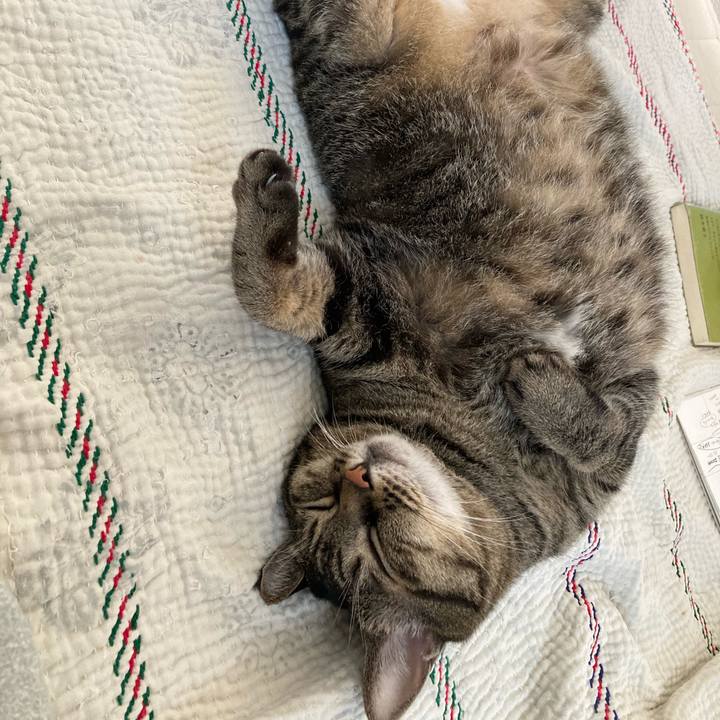 Efd72e80 584d 4ab6 99e9 006ca3749e61 1724734390886