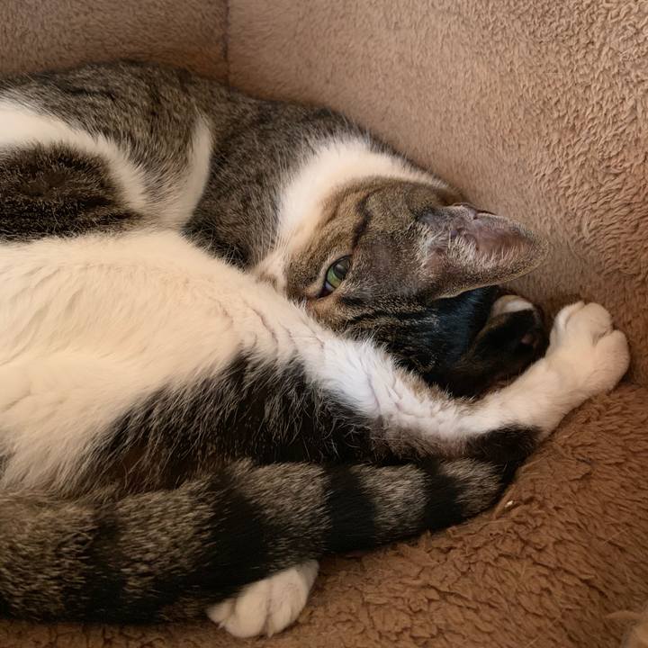 Efd766a6 1e90 4898 848a 85d60df4de97 1560301812295