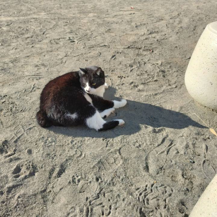 Efd7b945 c51f 4520 ba72 11fa0497f74a 1701154025466