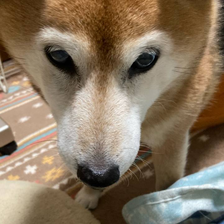 Efd7f720 eb1c 40e3 8dee 2a02d27126c4 1736324239399