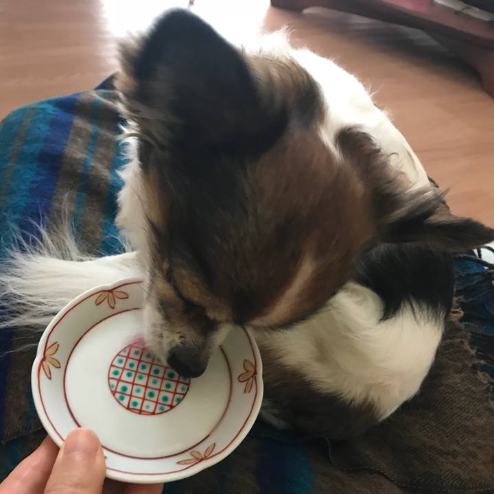 Efd80296 cc35 4730 be31 3a1074fa92d5 1519526603513