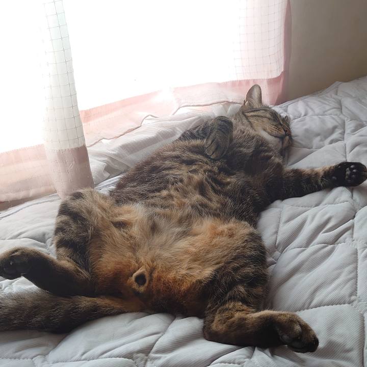 Efd82ace f7ea 43bc af26 7943f096cbf4 1656037434118