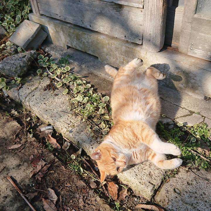 Efd835d9 9414 42ae add3 e2d163d9c885 1576898056658