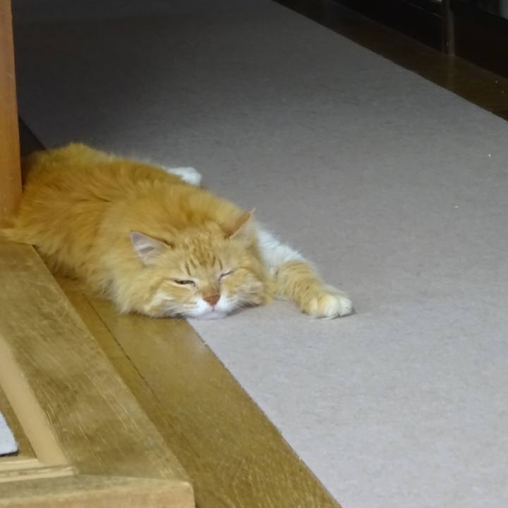 Efd839fc 1d65 4382 849c ab11540ecd2b 1524998695820