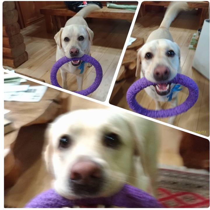 Efd84c67 dcbc 4ca1 af55 88418364f071 1560277082302