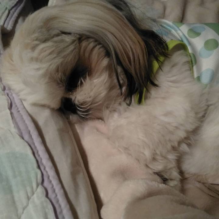 Efd86ac7 1d82 4e61 9d58 fde2fe3fe862 1556637350530