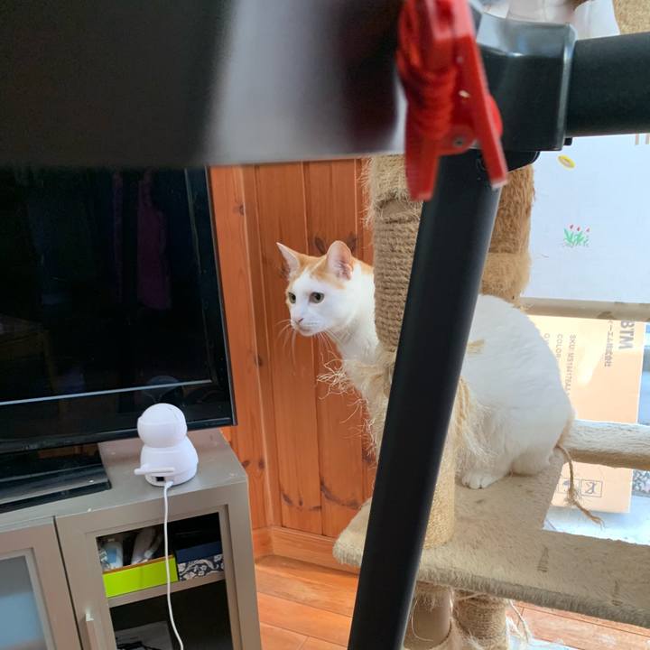 Efd8a5ce c29a 4b1a 83b1 f0f7d92465c3 1622330100475