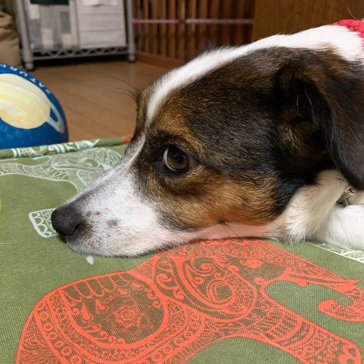 Efd8b7e0 0401 4714 b8c6 d70557c8a7a6 1601551038520