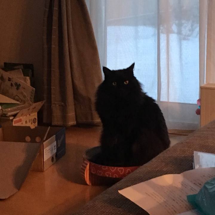 Efd8cbff bac0 405d b90f 8f4c2f5f3e50 1551101469612