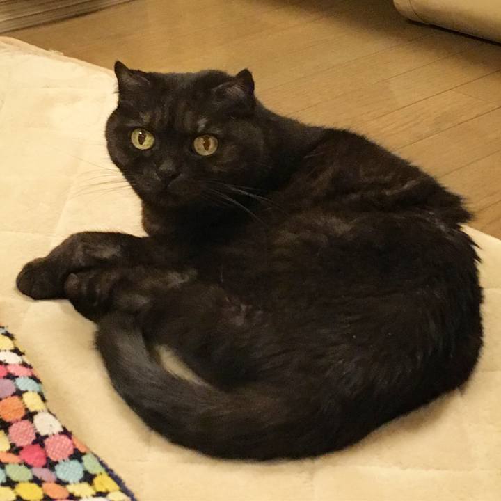 Efd8f7ed ae59 4ab0 9fc0 40f08a1bd0eb 1517922576757