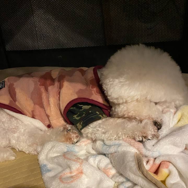 Efd8fb8b 8707 405d a327 ff65f2b9bbe8 1710942301099