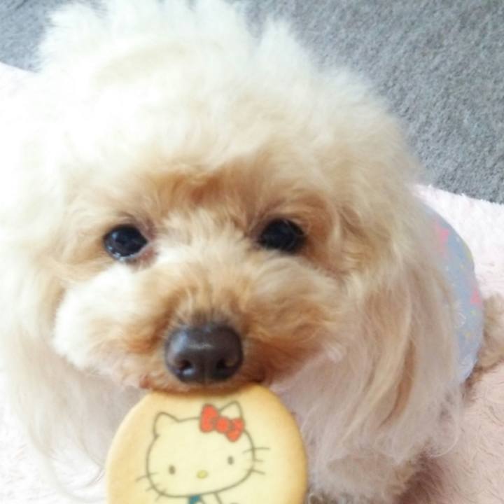 Efd9043b 5b48 42d5 a8f7 e0c745bad783 1559046618089