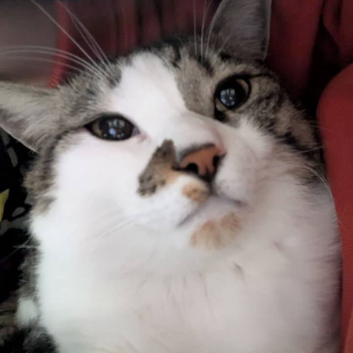 Efd92932 f6be 471a b101 c7ccb6b2ef62 1742106070385