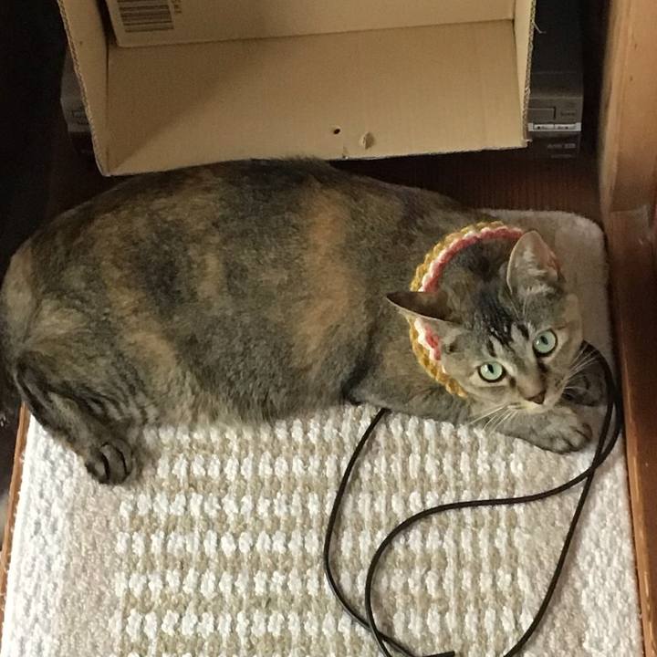 Efd92b80 f562 4411 acdd 0e37610ee458 1623214320439