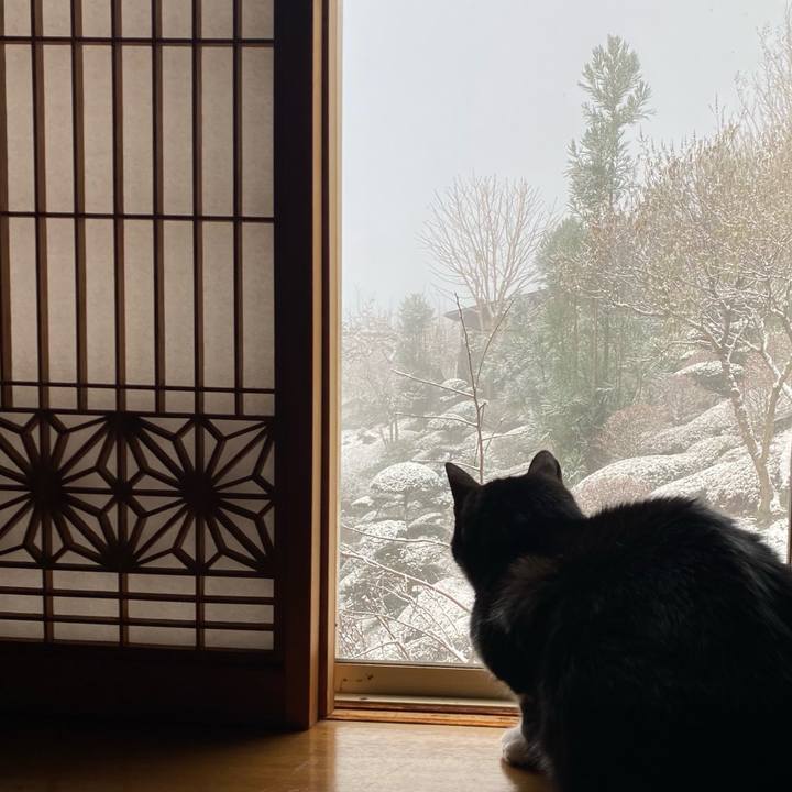 Efd96039 a54e 4d2f 8ab1 4820f42d21d7 1607133011558