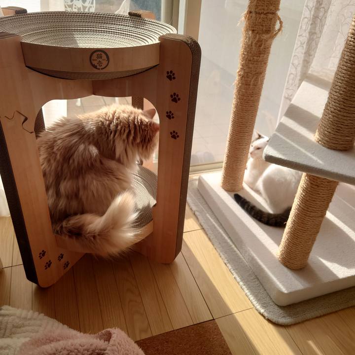 Efd974a7 9aa2 439a a37d 4b6fd1883365 1698038596171