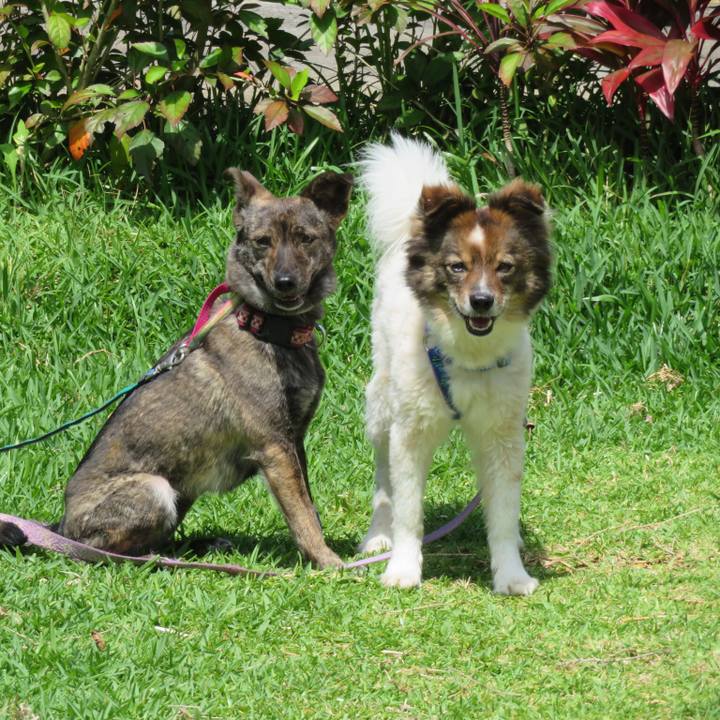 Efd97eee 0b9f 4662 ac19 992041067d43 1557238719530