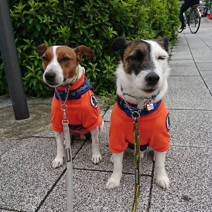 Efd987c6 74cf 44b0 8f71 809fd5088aae 1593729103260