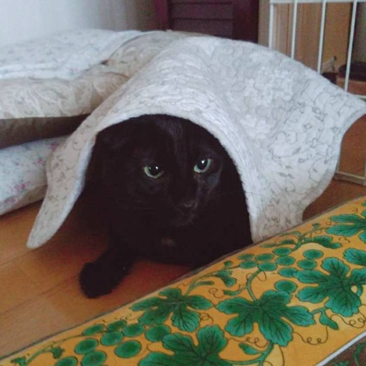 Efd98a61 576e 46b6 8a03 4920c322a73e 1606794332885