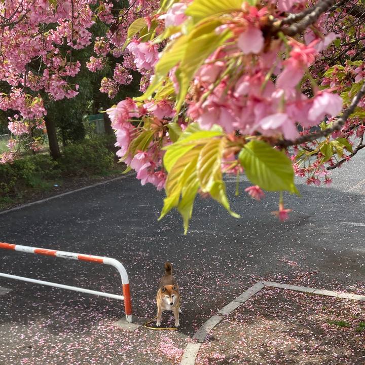 Efd99204 8f66 4792 9365 6b9aa7d59543 1648014343519