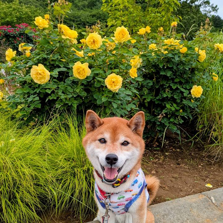 Efd9bf47 b0c1 442e 8d2d 514e271e76a3 1748498006634