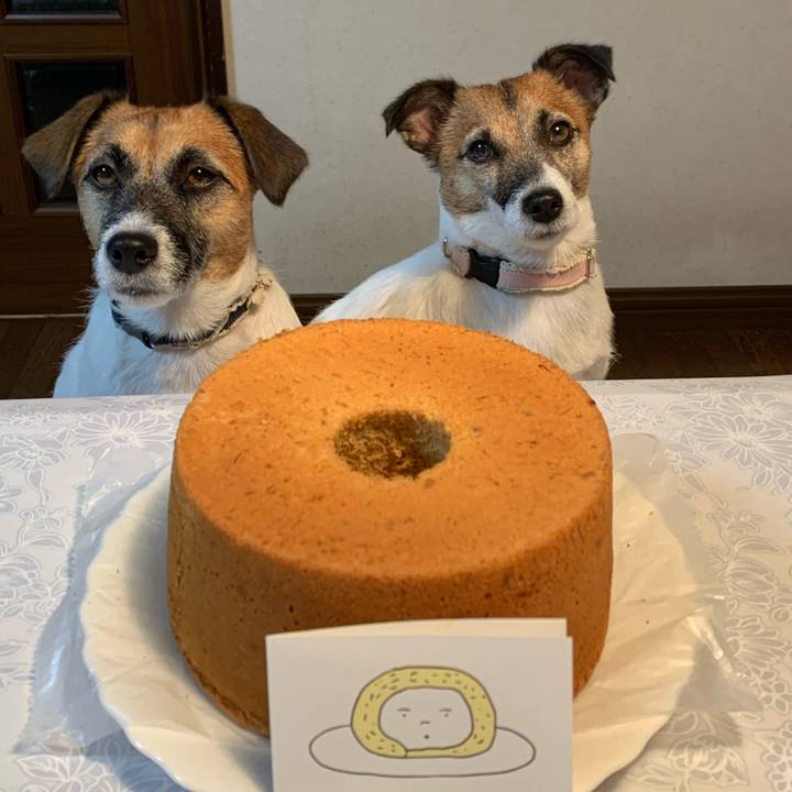 Efda4681 d364 4752 a2bf 91d8f36c6026 1601726314474