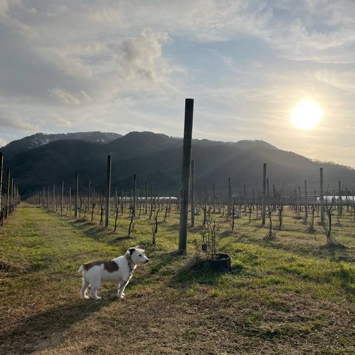 Efda55f1 ae83 4d9a 9e5b 368685dce50c 1673512293328