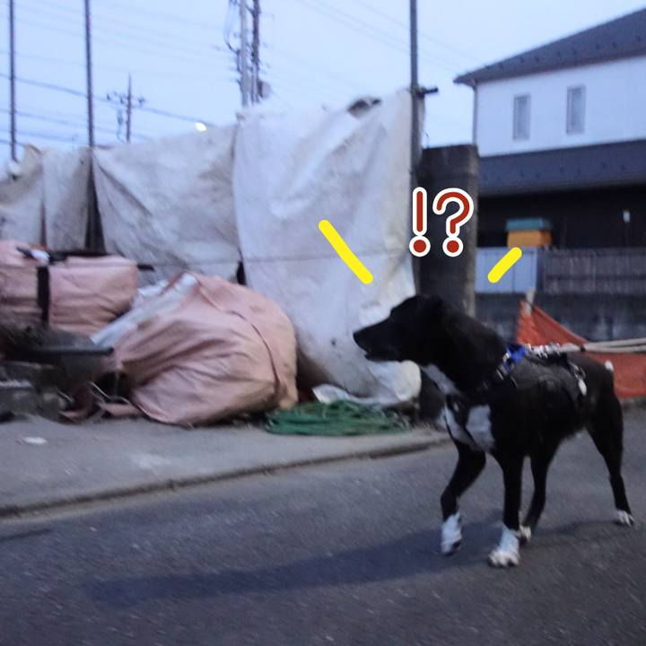 Efda8f0e 0e7e 461d b806 eb6b79256959 1649674226688