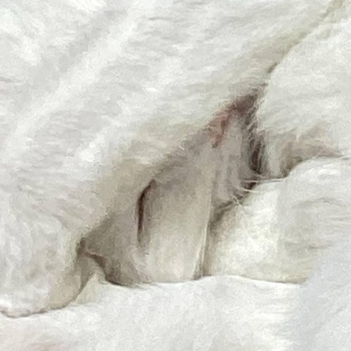 Efda964c 9fe3 4008 9f02 e94ea2727e4d 1670549381659