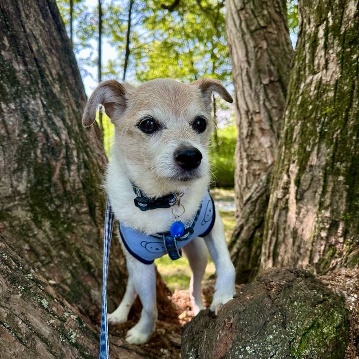 Efdab37c fac2 4c40 a27d 717d60ba09dc 1749276033218