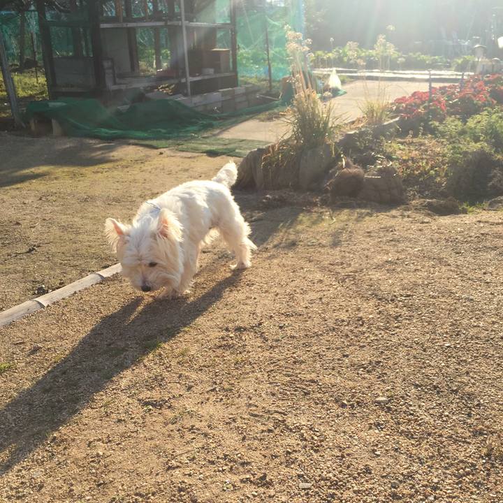 Efdad1d4 8324 48e9 804c 4d6aea441eb4 1513923887602